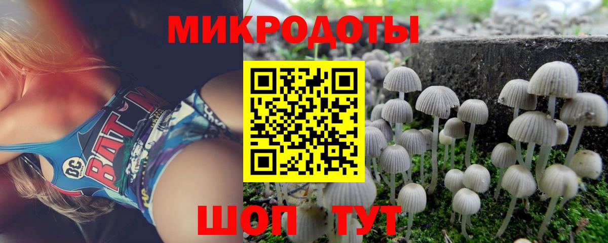 Коряжма  что такое   Вход с VPN  Псилоцибиновые грибы Cubensis 